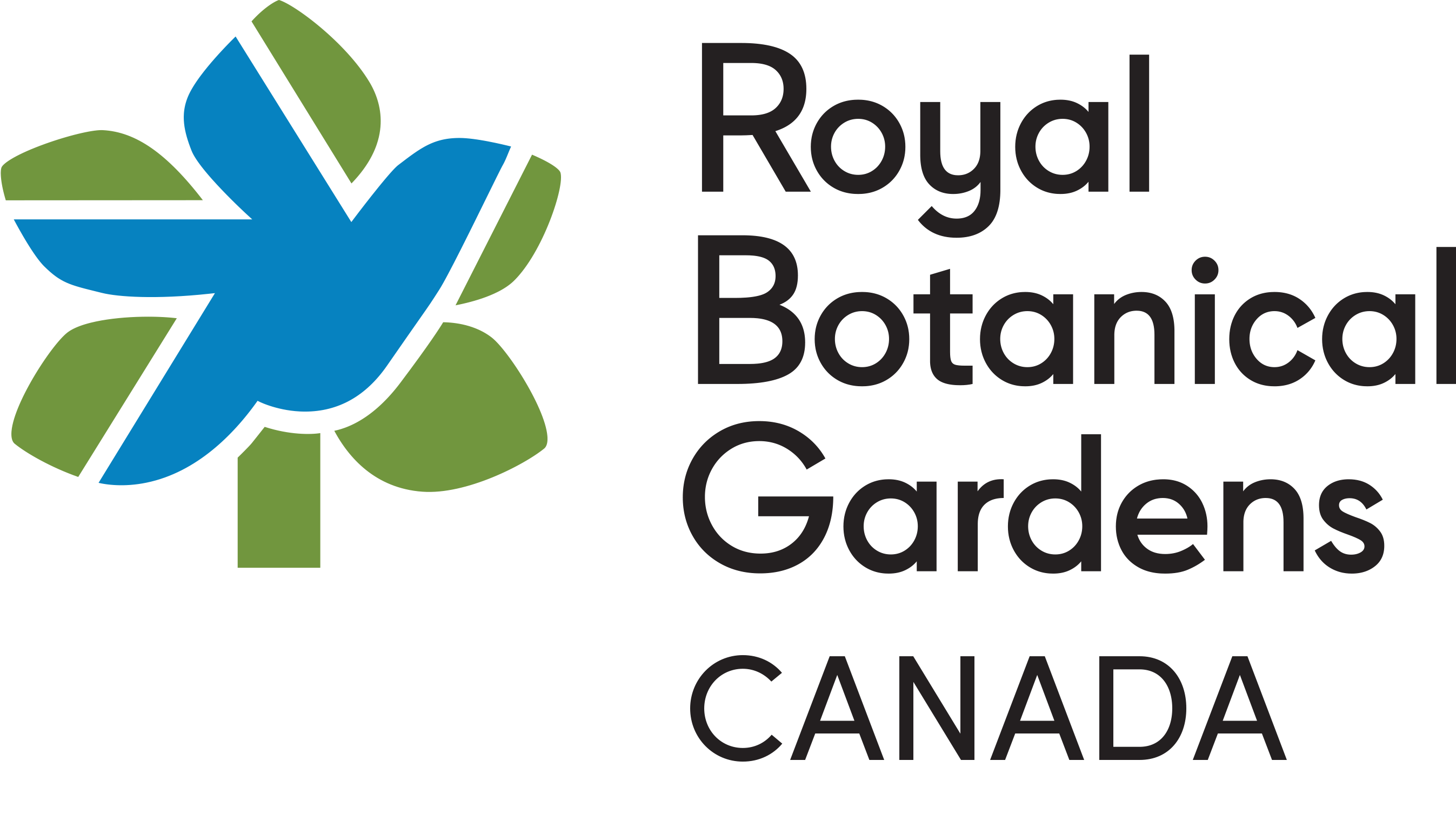RBG logo